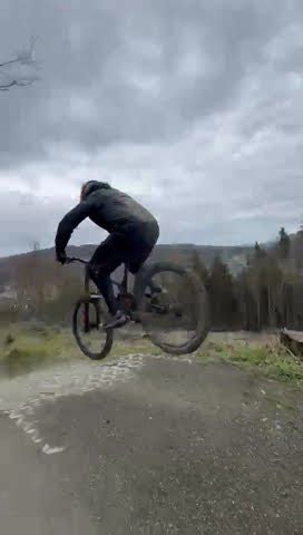 Drop Train Freeride Bikepark Willingen First Time 2024 Willingen