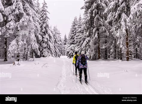 Short winter hike through deep snow in the Thuringian Forest near ...