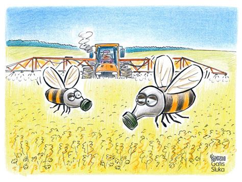 Pesticide and bees | Cartoon Movement