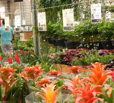 Pronta Flora Holambra - Pronta Flora em Holambra: 2 opiniões e 7 fotos
