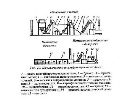 Организация работы овощного цеха Овощной