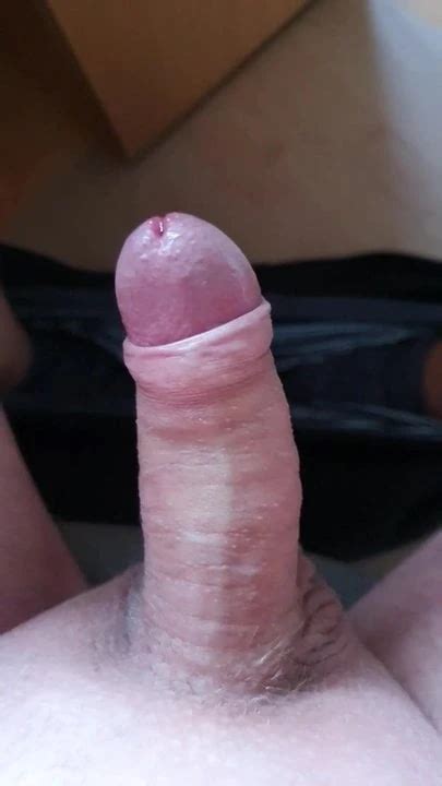 Wixen Swiss Gay Amateur Amateur Porn XHamster