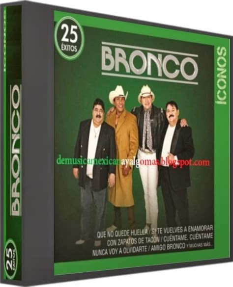 Bronco - Iconos