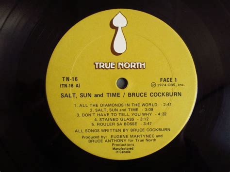 Bruce Cockburn - Salt, Sun and Time