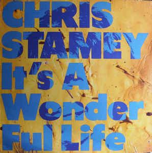 Chris Stamey - Wonderful Life