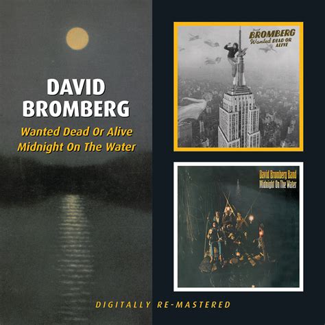 David Bromberg - Wanted Dead or Alive/Midnight on the Water