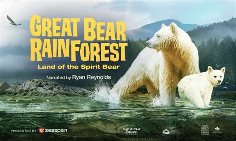 "Great Bear Rainforest", new IMAX film - YouTube