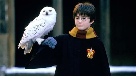 "Harry Potter" wird zur Serie