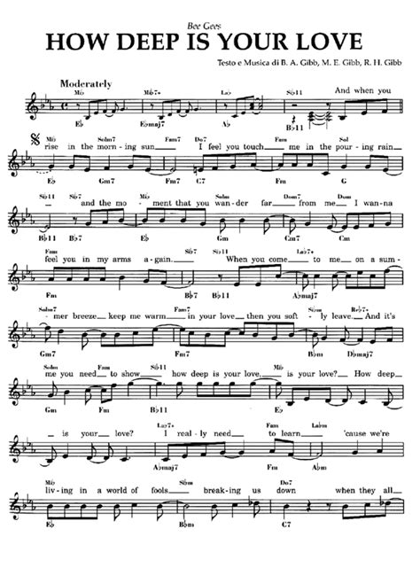 veodersti.rgarabwor.edu.pl. 