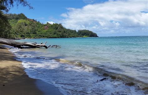 "In a land called Hanalei!" - Tripadvisor