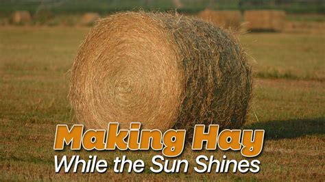 "Make hay while the sun... - St. Kitts Department of Sport Facebook