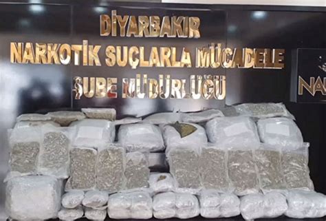 "Narkogüç" operasyonlarında 2 ton uyuşturucu ele geçirildi: 456 gözaltı - Son Dakika Haberleri