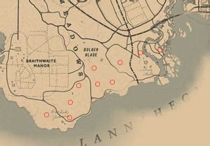 "Night Scented Orchid Locations Rdr2" » Home And Garden