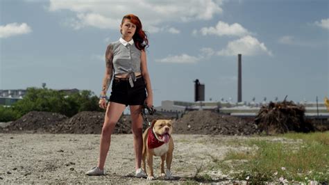 "Pit Bulls and Parolees" Storm on the Horizon (TV …