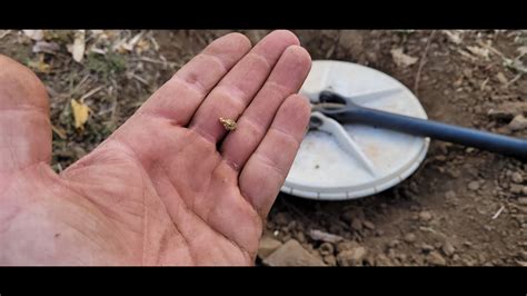 "Prospecting" North Queensland. - Gold Prospecting & Fossicking …