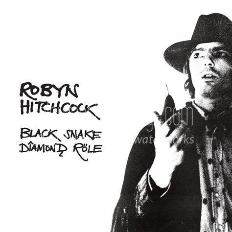 Robyn Hitchcock - City of Shame