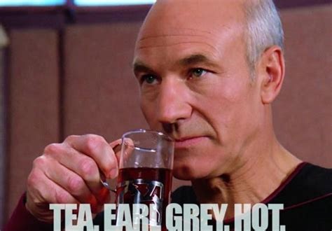 "Tea. Earl Grey. Hot." Did Picard really need to say it?