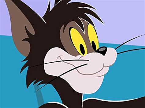 "The Tom and Jerry Show" Top Cat/Mummy Dearest …