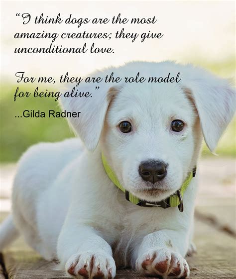 "Unconditional Love: A Dog