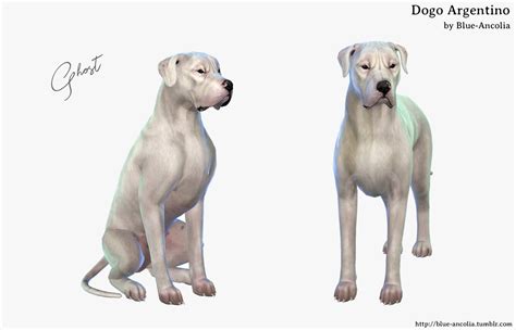 "download"-Blue Ancolia Sims pets, Sims 4 pets, Sims - Pinterest