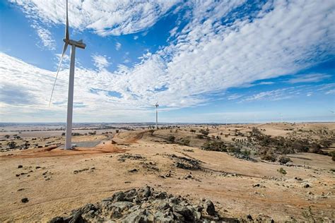 $120m renewable energy farm gets council approval