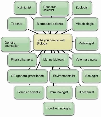 $17-$38/hr Biology Field Research Jobs (NOW HIRING) - ZipRecruiter