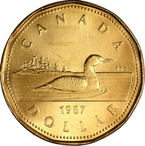 $1can coin. To exchange your 1 Canadian Dollar coin (loonie) for cash: add it to your wallet now! Exchange and get: £ 0.33 624. 1 CAD = £0.3362400000. Add to wallet. Recieve your money within 5 days of receiving your currencies. Get paid in 3 easy steps for your 1 Canadian Dollar coin (loonie). 