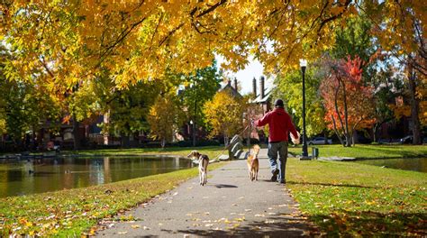 $24 Cheap Flights to Schiller Park , IL - Expedia.com