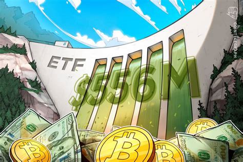 $556M in spot Bitcoin ETF inflows signals major shift in investor sentiment image 5
