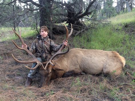 $750 elk hunt. Things To Know About $750 elk hunt. 