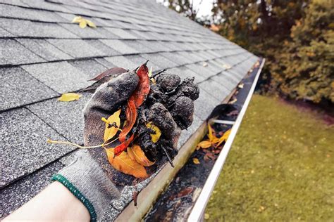 We Have 3888 Homeowner Reviews of Top Bronx Gutter Cleaning and Repa