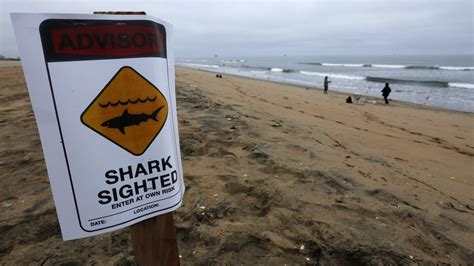 'Aggressive shark activity' prompts closure of beach in Orange County
