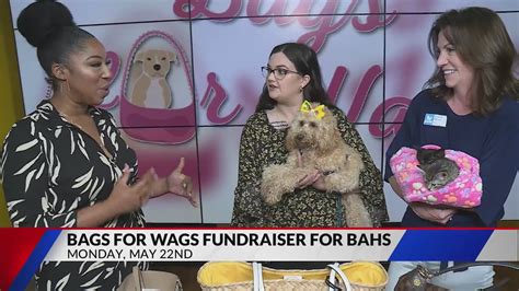 'Bags for Wags' fundraiser taking place tonight