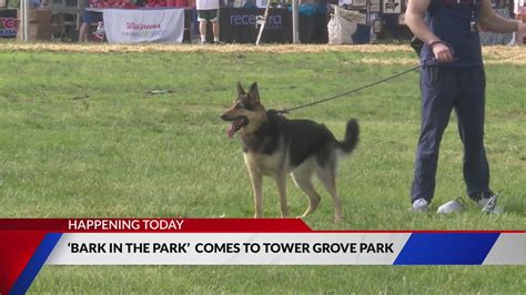 'Bark in the Park' by Humane Society of Missouri Returns for 28th year\