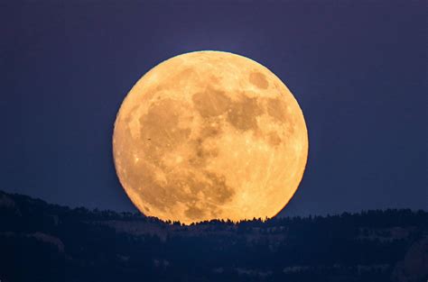 'Biggest, brightest' rare blue supermoon can be seen this week: What to know