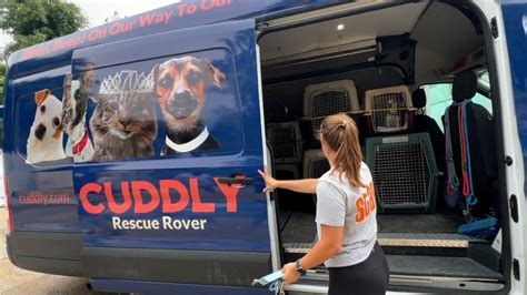 'CUDDLY' Rescue Rover aiding abandoned animals in Austin
