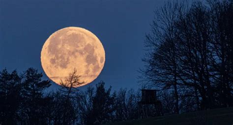 'Cold moon' will light up sky Tuesday