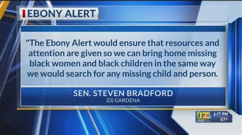 'Ebony Alert' system proposed in California to help find missing Black young adults and adolescents
