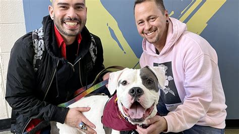 'Elvis' adopted by former Elvis impersonator after being only dog left at Anti-Cruelty Society