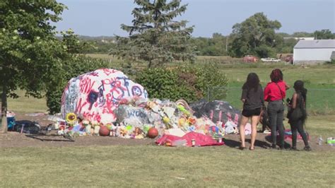 'I'm still trying to cope': Family member of South Elgin teen killed in crash speaks out