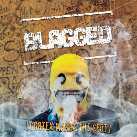 'I sort of blagged it