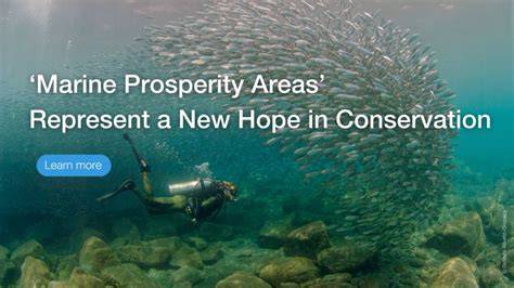 'Marine Prosperity Areas' represent a new hope in conservation - raincitystudios.com