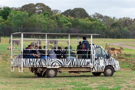 'Money Smart' Kids Zoo Safari taking place this weekend