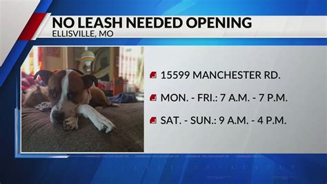 'No Leash Needed' opening today in Ellisville, Missouri