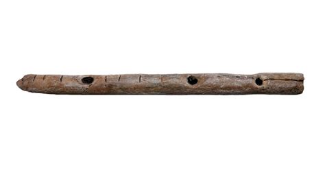 'Oldest musical instrument' found - BBC News - wintechmobiles.com
