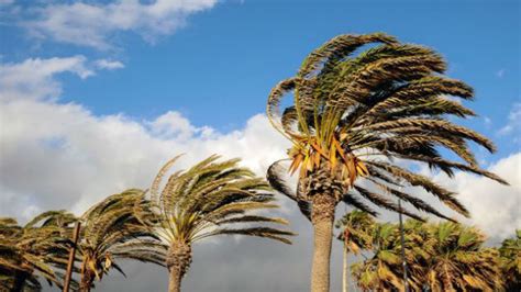 'Octobake': Santa Ana winds to warm up San Diego