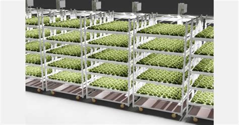 'The time to invest in vertical farming is now' - balustradellc