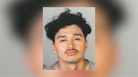 'Vicious assailant': Man arrested in series of attacks on women in L.A.