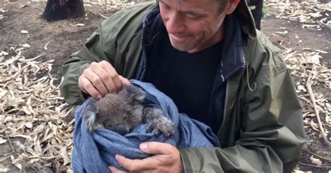 'We Are Rescuing Countless Animals': Doug Thron On Using ... - CBS … - balustradellc