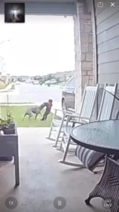 'You can hear the snapping': Doorbell camera captures dog attacking mother and toddler
